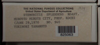 Image Associated With the Occurence
